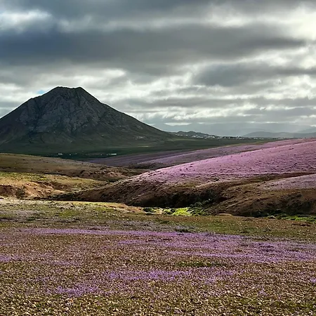 Casilla De Costa Daire