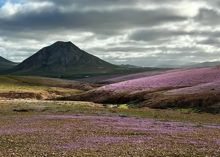Casilla De Costa Daire
